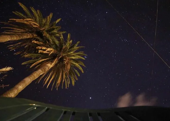 Rincon La Palma